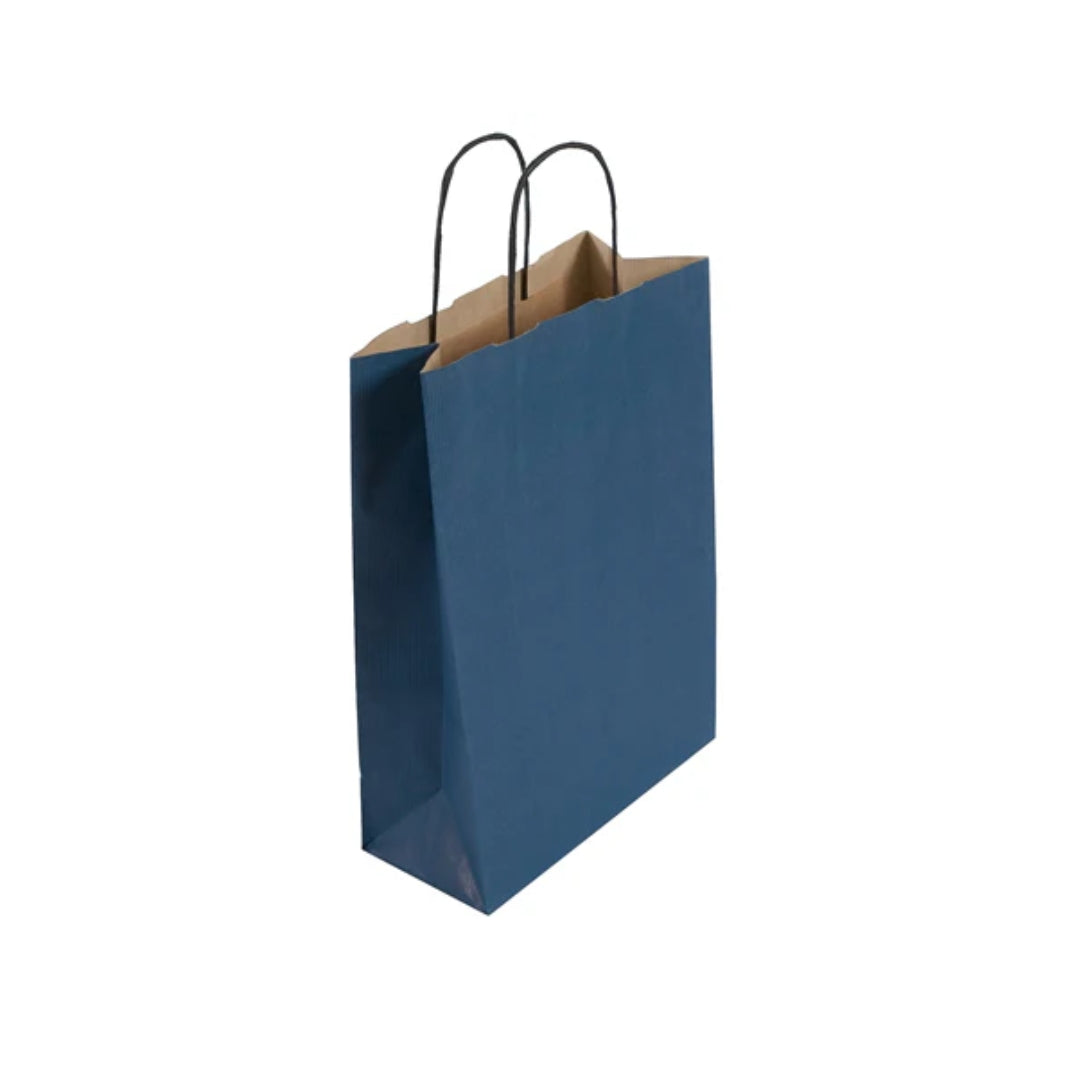 Medium Blue Twist Handle Paper Bag (24x11x31cm)