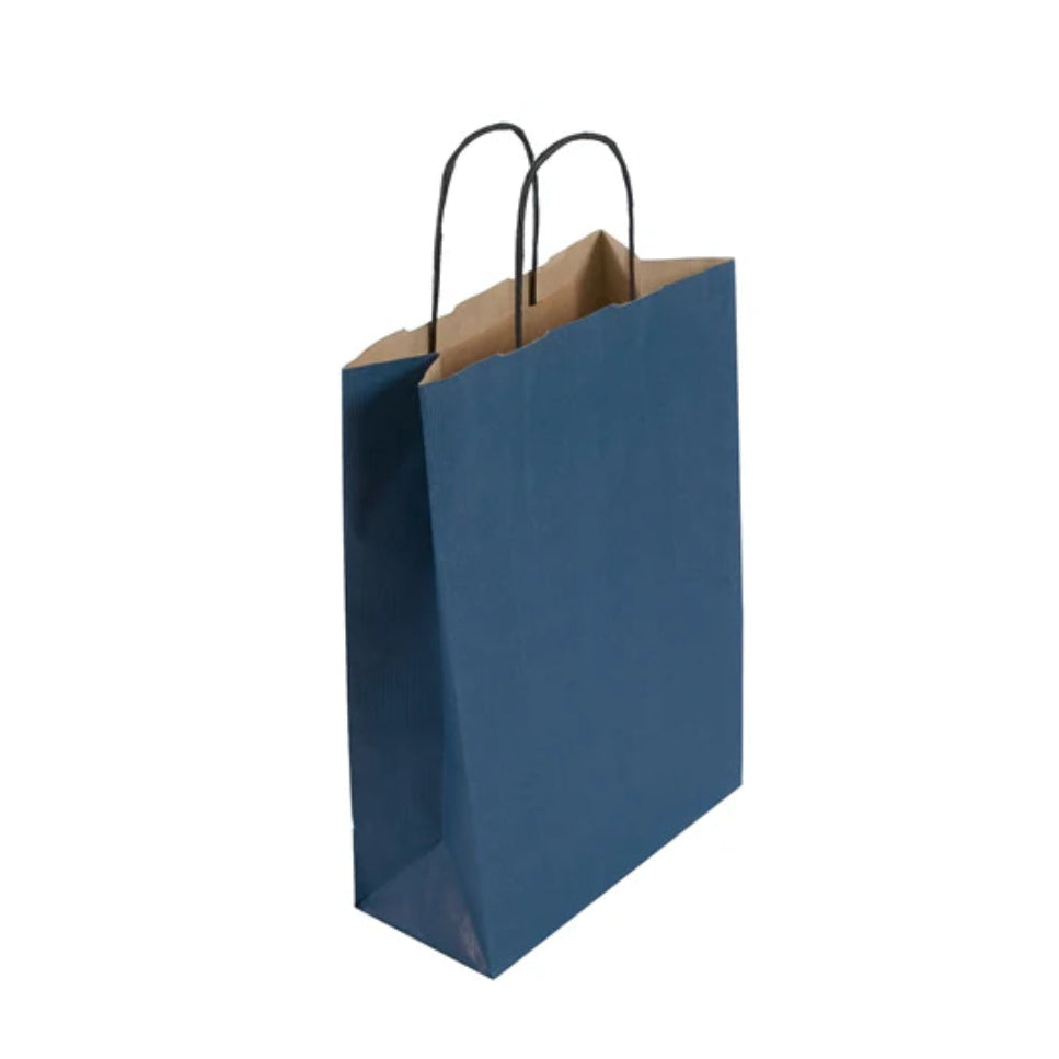Medium Blue Twist Handle Paper Bag (24x11x31cm)