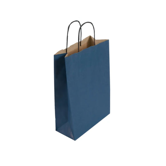 Medium Blue Twist Handle Paper Bag (24x11x31cm)