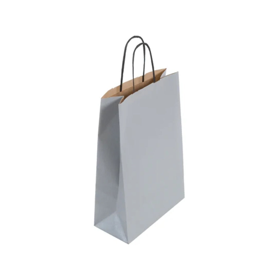 Medium Silver Twist Handle Bag (24x11x31cm)
