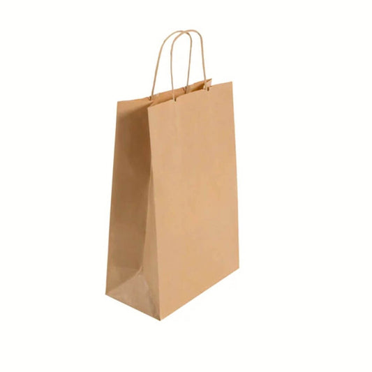 A plain brown kraft paper shopping bag with twisted paper handles