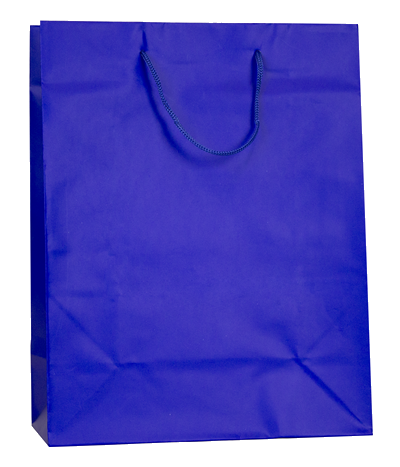 Large Blue Matt Laminated Rope Handle Bag (22x10x27cm)