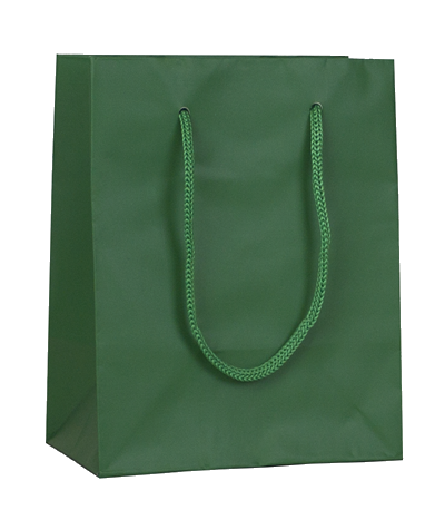 Small green online shopping bag