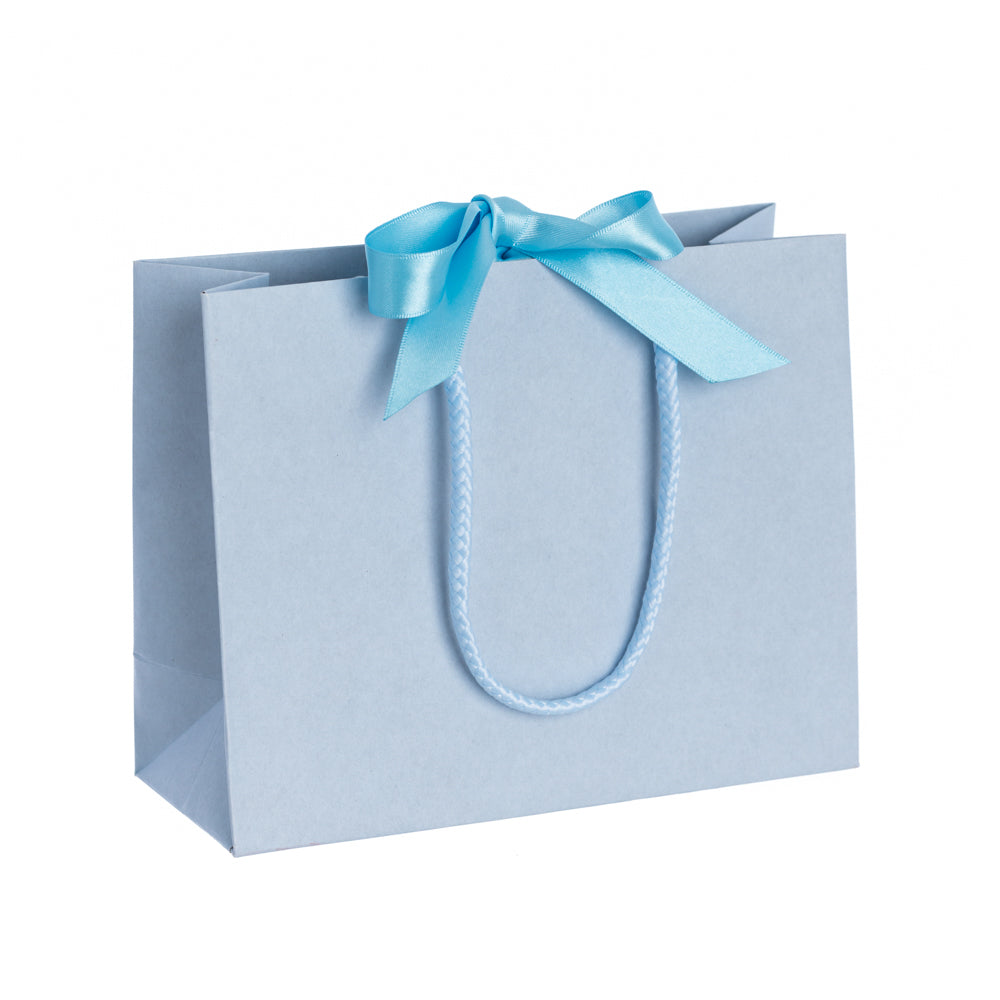 Light Blue Recycled Carriers with Ribbon Ties
