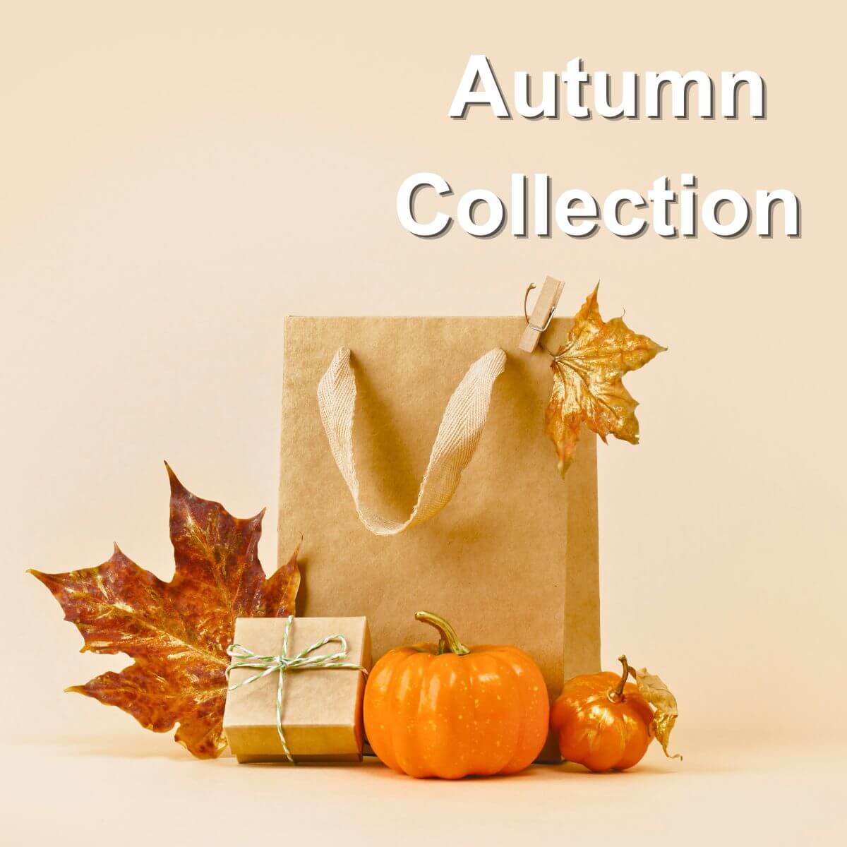 A kraft paper gift bag