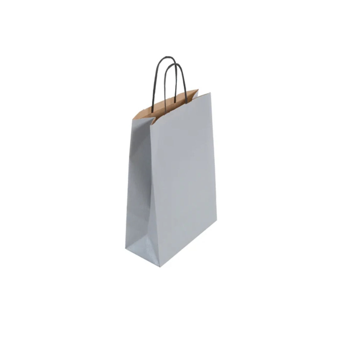 Medium Silver Twist Handle Bag (24x11x31cm)