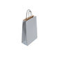 Medium Silver Twist Handle Bag (24x11x31cm)