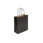 Small Black Twist Handle GIft Bag (19x8x21cm)