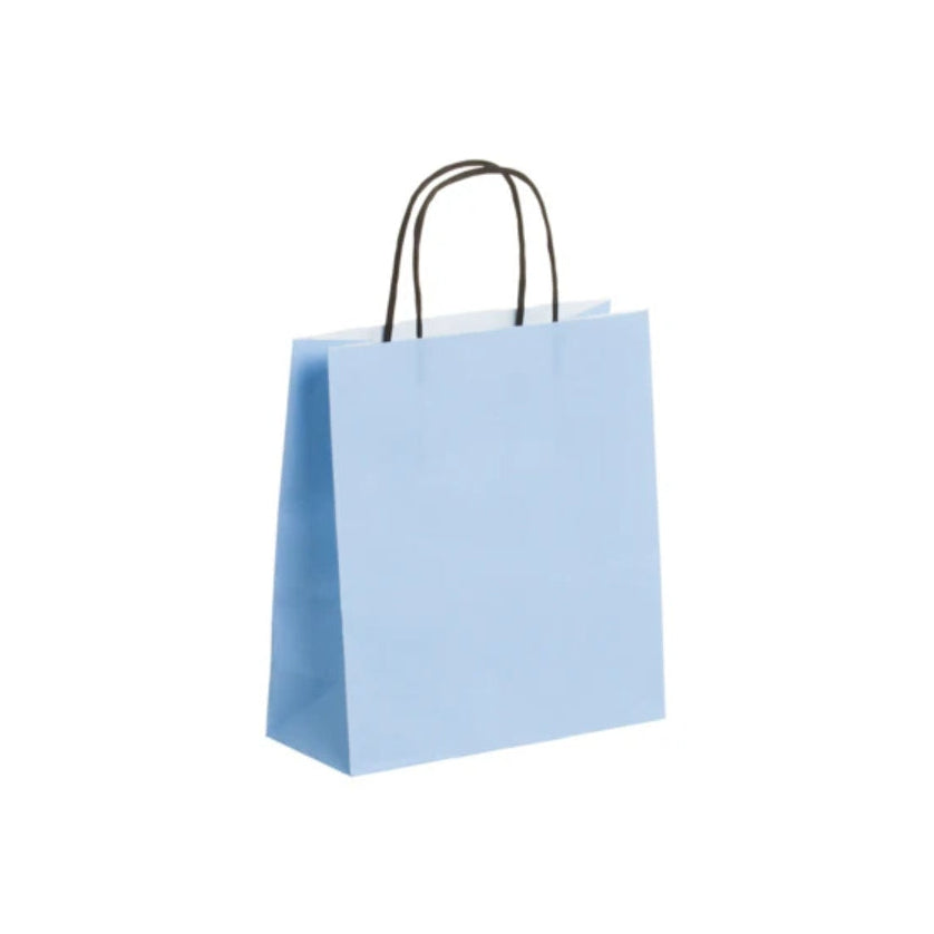 Small Light Blue Twsit Handle Bag (19x8x21cm)