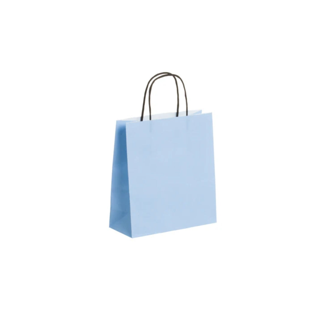 Small Light Blue Twsit Handle Bag (19x8x21cm)