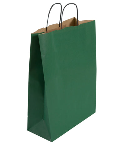Large Green Carrier 32x14x42cm