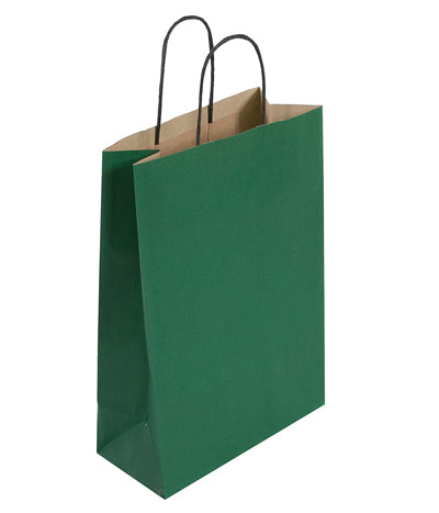 Medium Green Carrier (24x11x31cm)