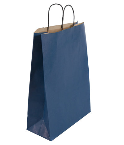 Large Navy Blue Carrier (32x14x42cm)